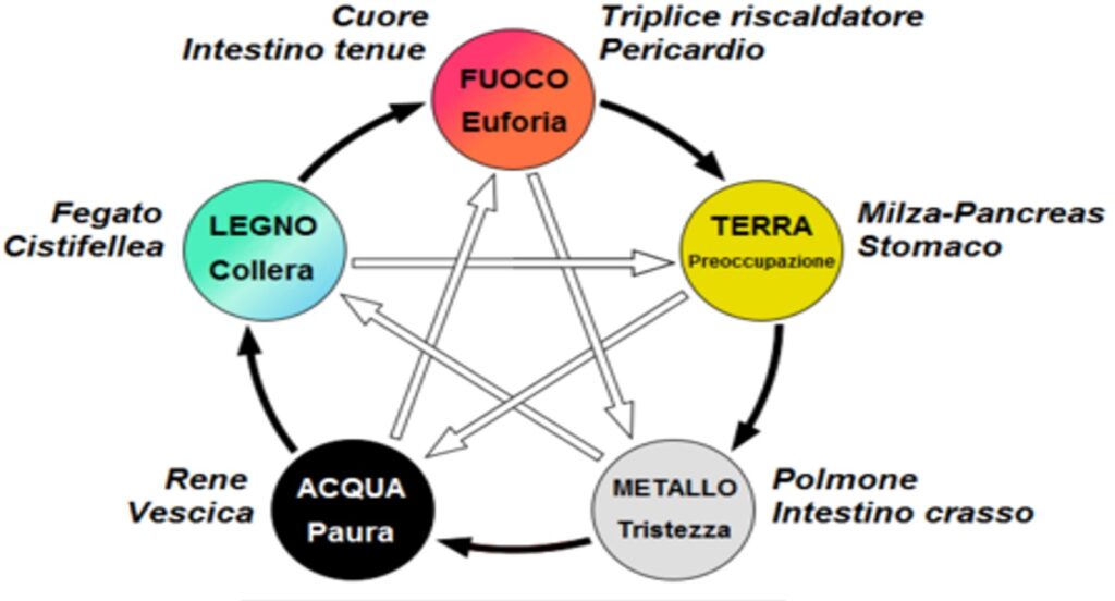 kinesiologia